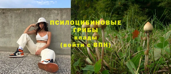 ГАЛЛЮЦИНОГЕННЫЕ ГРИБЫ Волосово