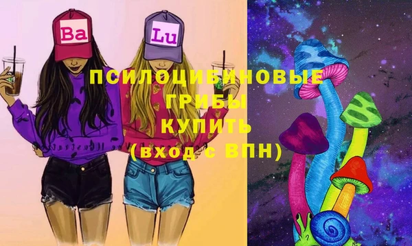сатива Вяземский