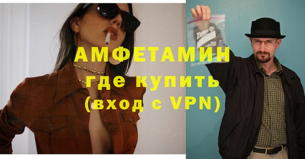 индика Володарск