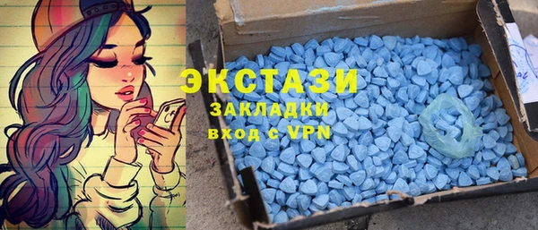индика Володарск