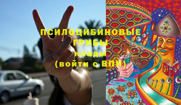 индика Володарск