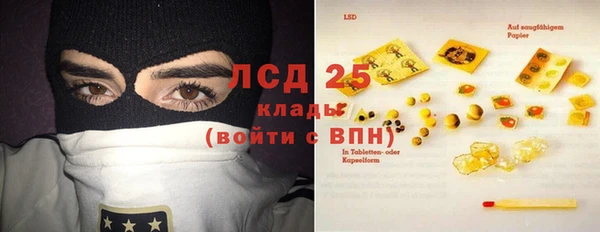 ГАЛЛЮЦИНОГЕННЫЕ ГРИБЫ Волосово