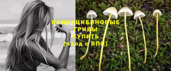индика Володарск