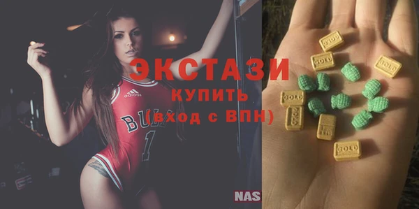 индика Володарск
