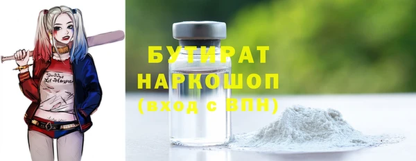 индика Володарск