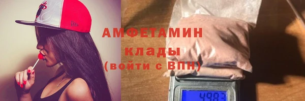 индика Володарск