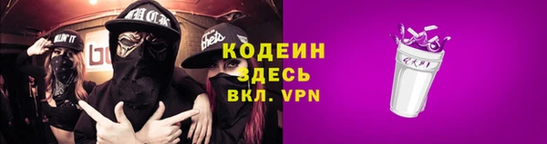 индика Володарск