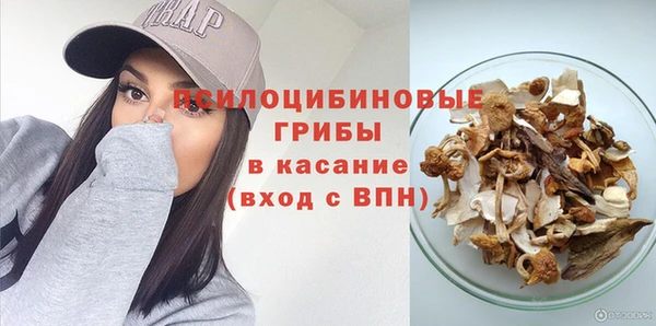 индика Володарск