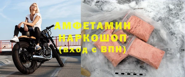 сатива Вяземский