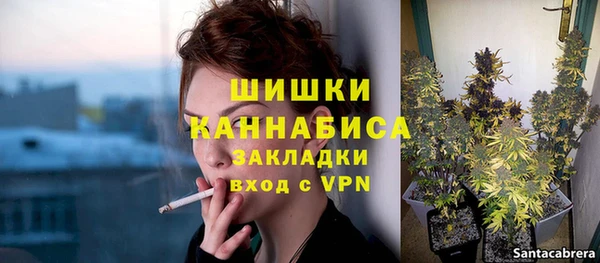 индика Володарск