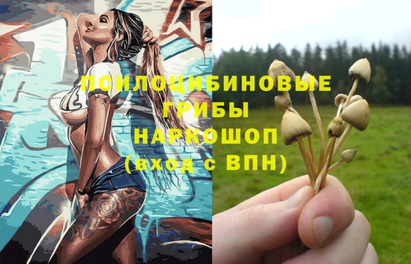 ГАЛЛЮЦИНОГЕННЫЕ ГРИБЫ Волосово