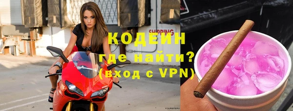 индика Володарск