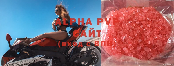 индика Володарск