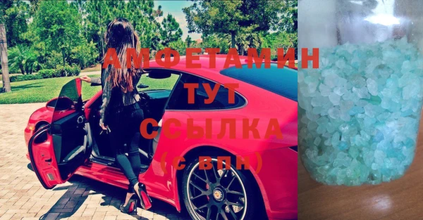 индика Володарск