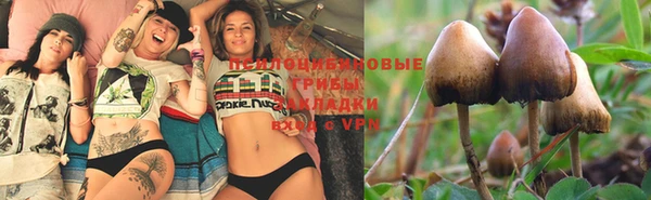индика Володарск