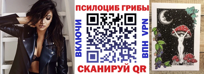 Купить закладки  Краснослободск  Галлюциногенные грибы мухоморы 